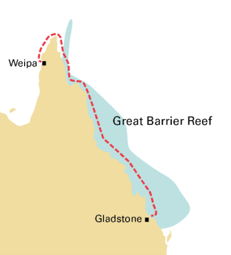 overview