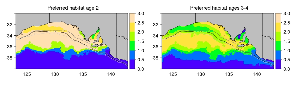 Nowcast SST