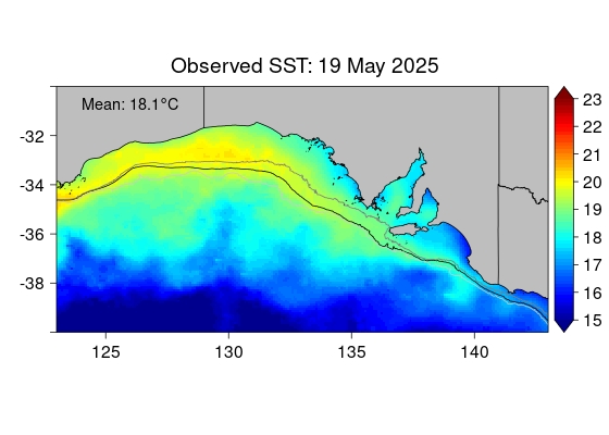 Actual SST map