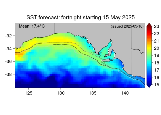 Actual SST map