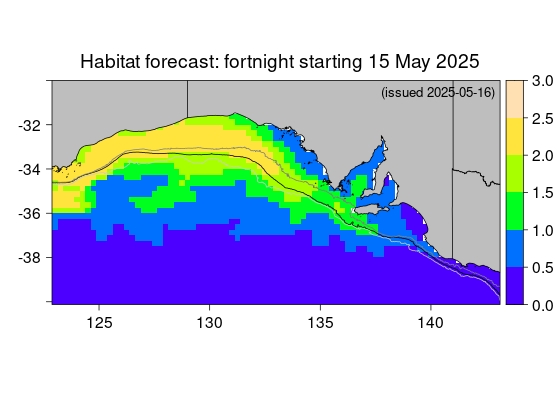 Actual SST map