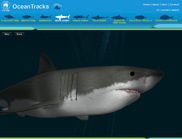 Ocean Tracks website