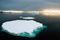 sea ice