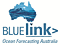 BLUElink> logo