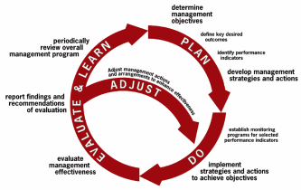 Adaptive management cycle
