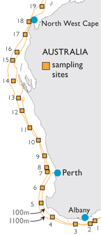 Sampling site map