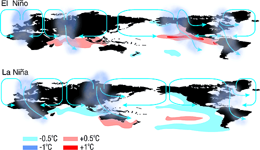 Ocean surface temperature image