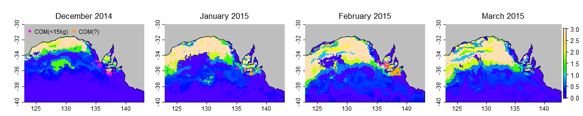 Case study 2015 prefs