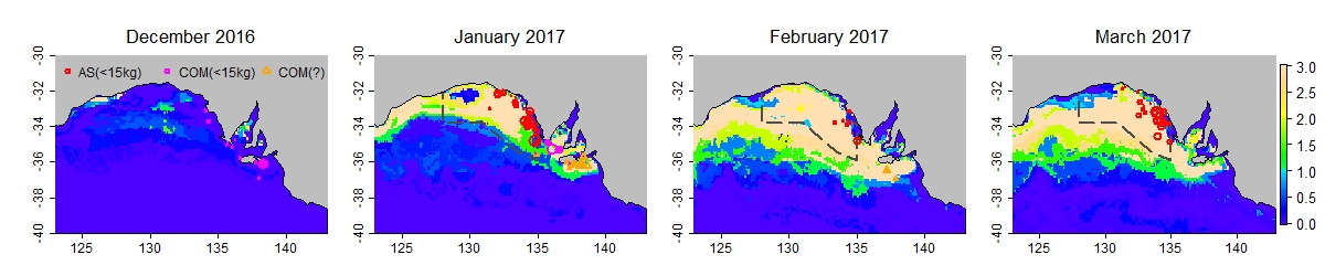 Case study 2017 prefs