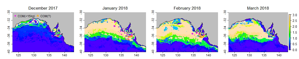 Case study 2018 prefs