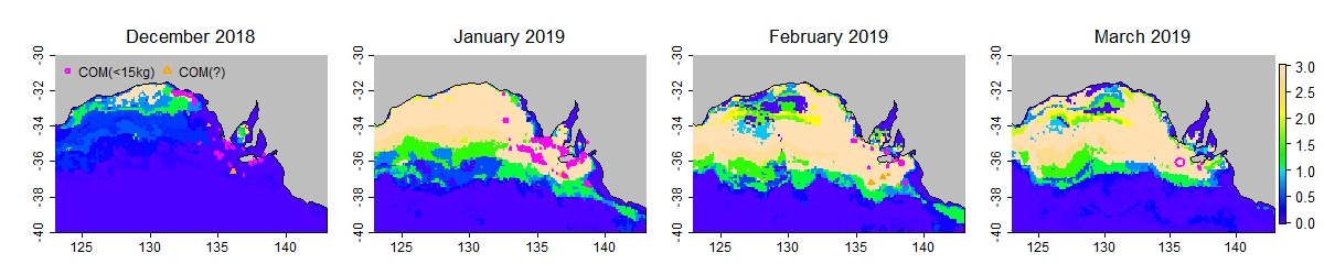 Case study 2019 prefs