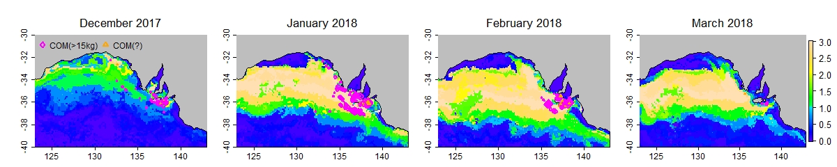 Case study 2018 prefs