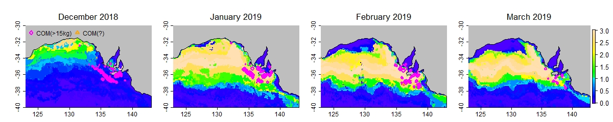 Case study 2019 prefs