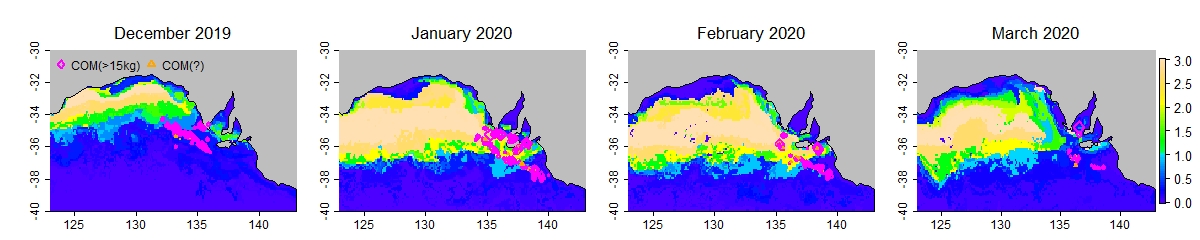 Case study 2020 prefs