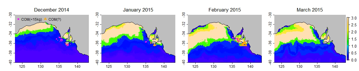 Case study 2015 prefs