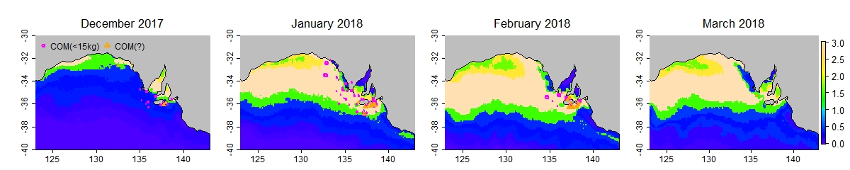 Case study 2018 prefs