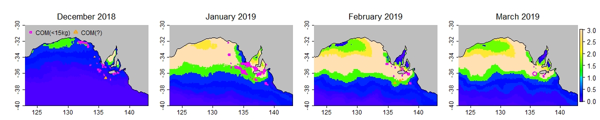 Case study 2019 prefs