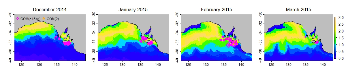 Case study 2015 prefs