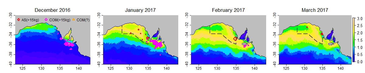 Case study 2017 prefs