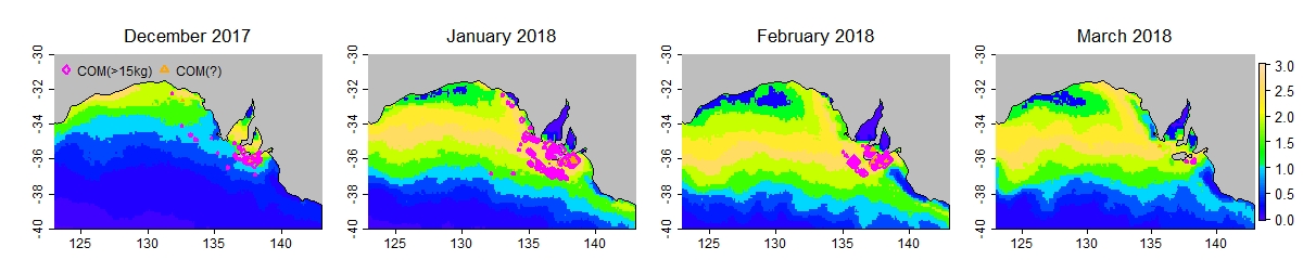 Case study 2018 prefs