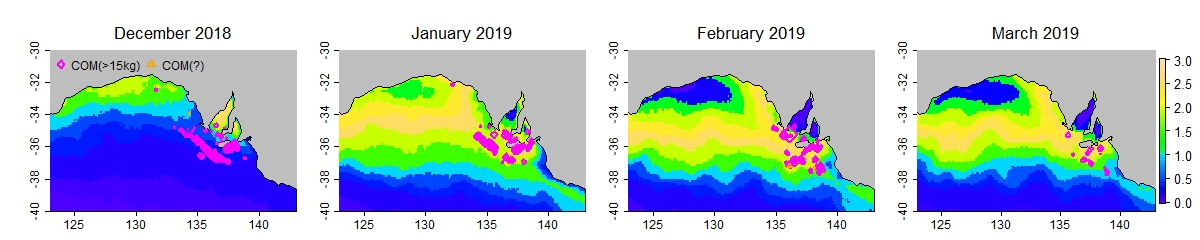 Case study 2019 prefs