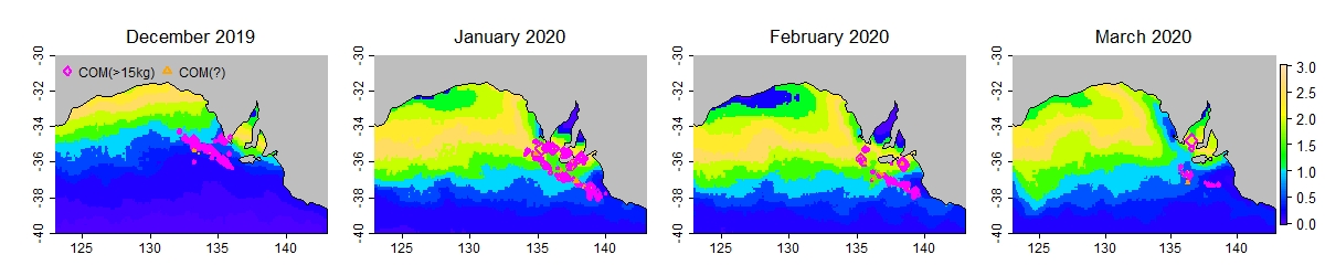 Case study 2020 prefs