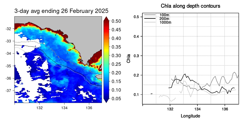 current observed sst