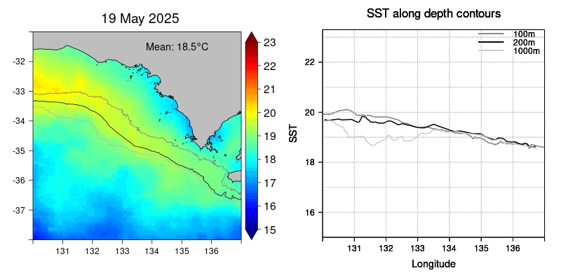 current observed sst