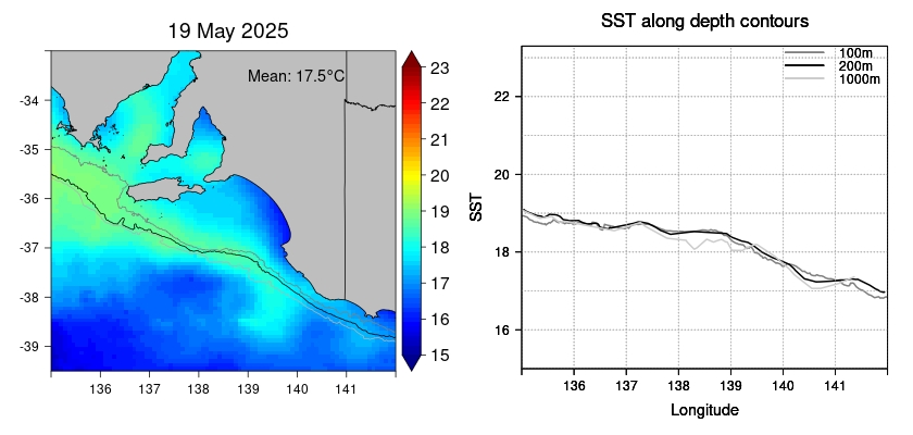 current observed sst