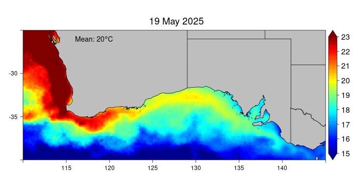 current observed sst