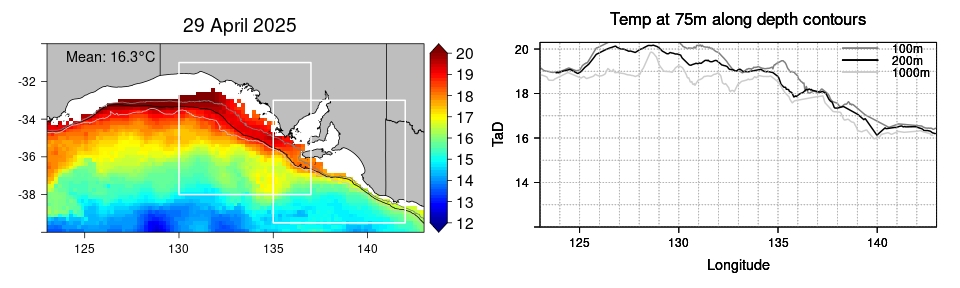 Actual SST map