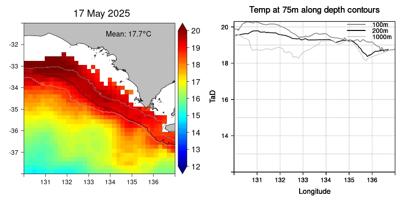 current observed sst