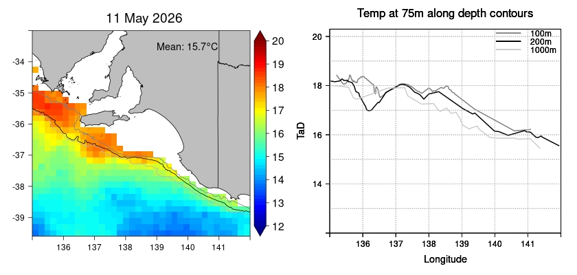 current observed sst