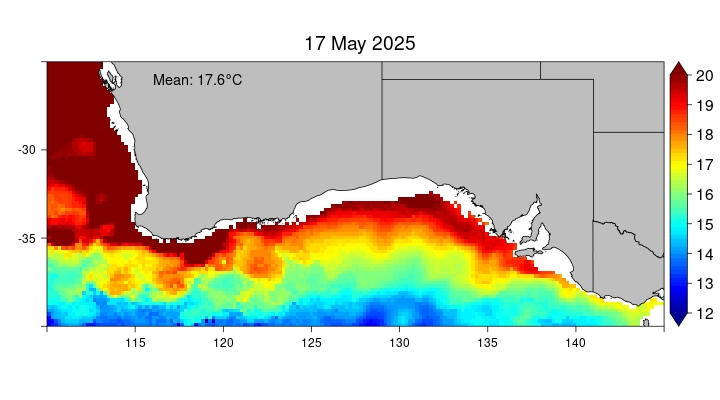 current observed TaD