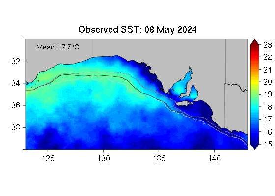 Actual SST map