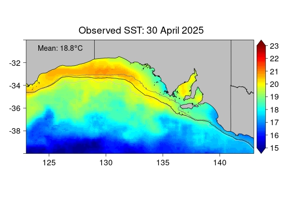 Actual SST map