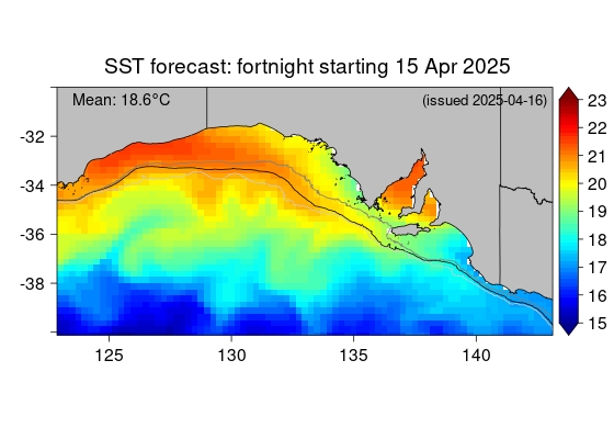 Actual SST map