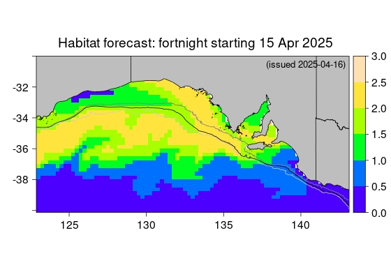 Actual SST map