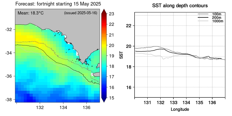 SST forecast CE close-up lead1