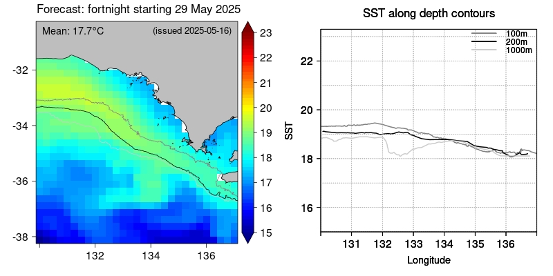 SST forecast CE close-up lead2