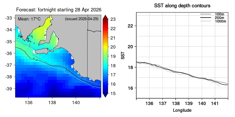 SST forecast East close-up lead1