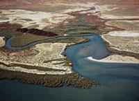 Aerial view of estuary