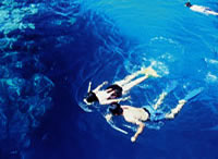 snorkelling