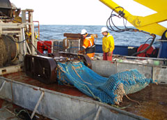 Epibenthic Sled with codend